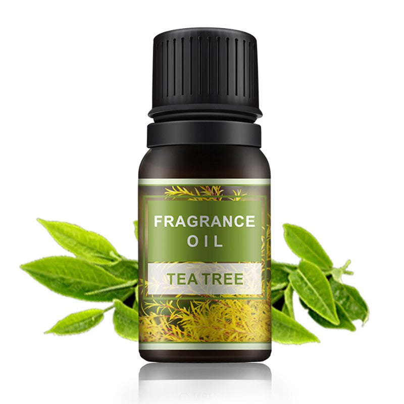 Fragrance Oils For Aromatherapy Diffusers Pure Essential Oils