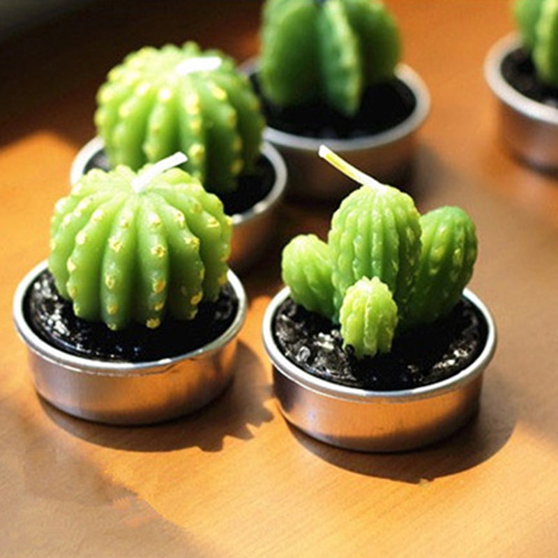 Potted Cactus and Flamingo Scented Candles