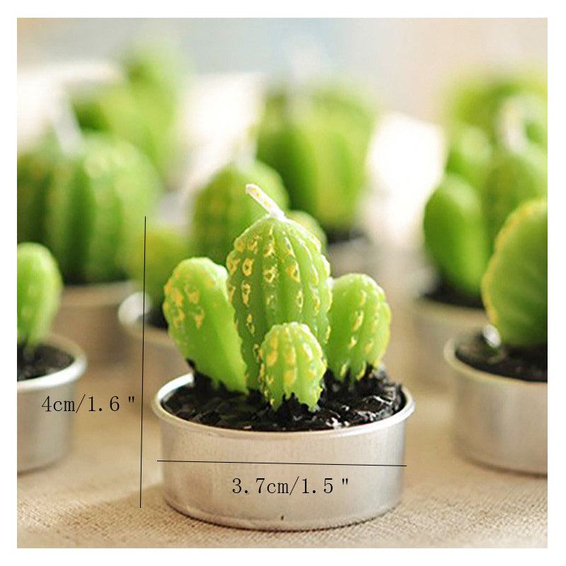 Potted Cactus and Flamingo Scented Candles