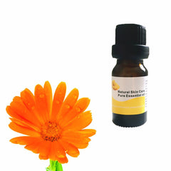 Cold Press Chrysanthemum Essential oils