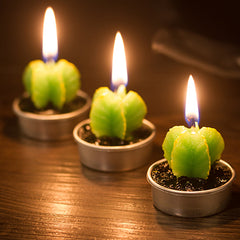 Potted Cactus and Flamingo Scented Candles